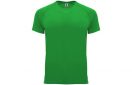 camiseta-tecnica-de-hombre-bahrain-verde