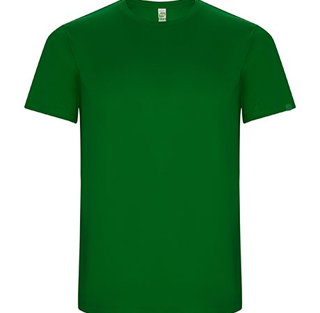 camiseta tecnica roly imola verde helecho