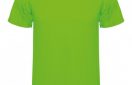 camiseta-tecnica-de-hombre-montecarlo-verde-claro