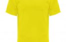 camiseta tecnica roly monaco amarillo