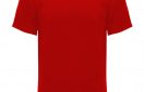 camiseta tecnica roly monaco rojo