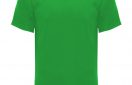 camiseta tecnica roly monaco verde helecho
